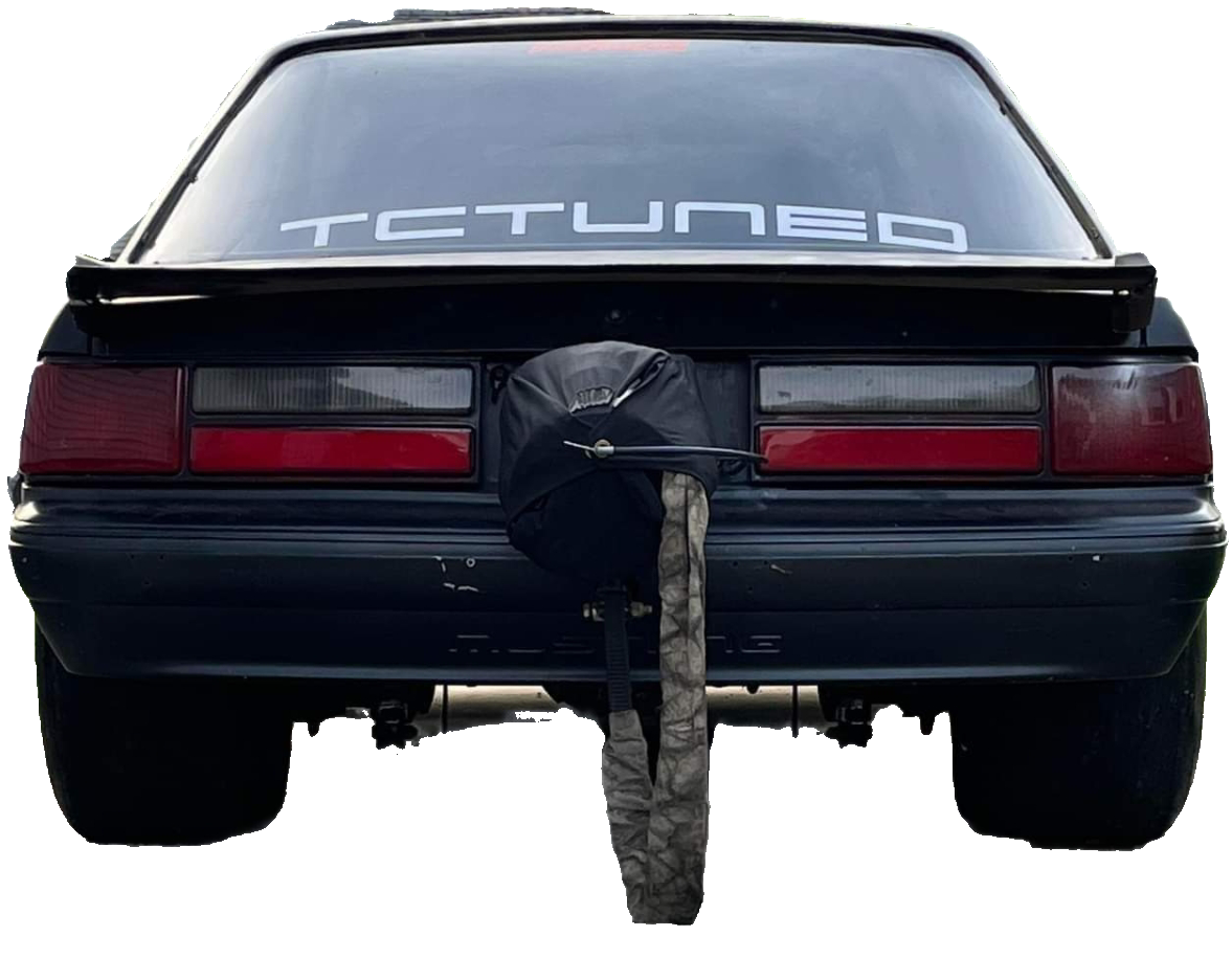 Large window decal